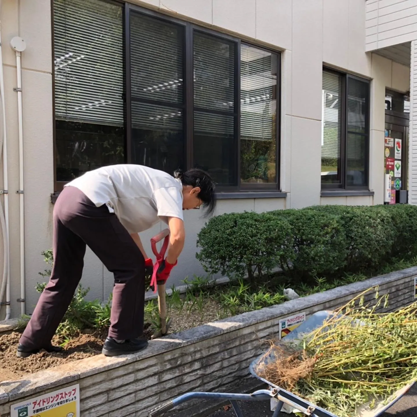 社長❣️花壇をいじいじの巻✨✨