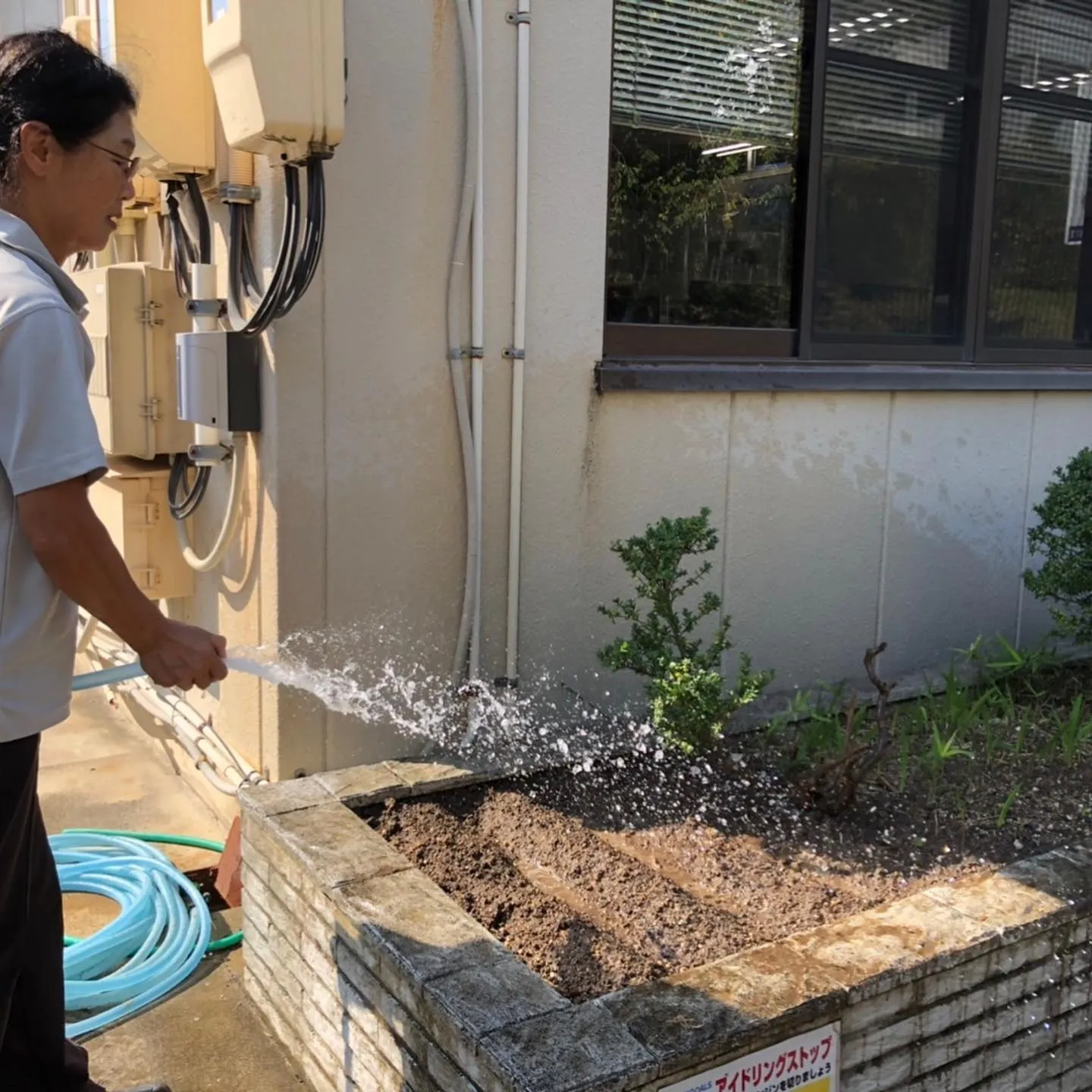 社長❣️花壇をいじいじの巻✨✨