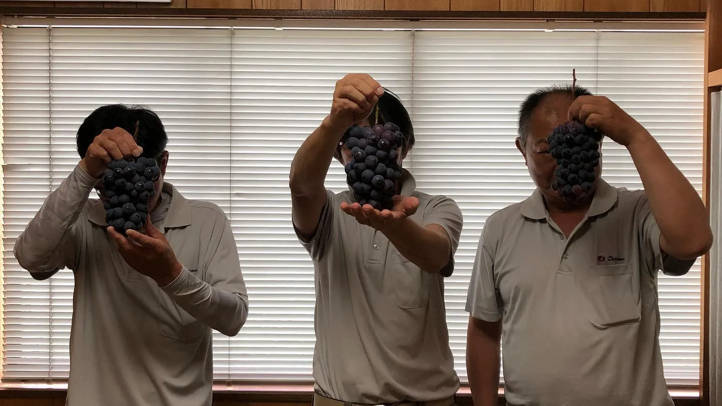 社長イチ押しの🍇ベリーA。